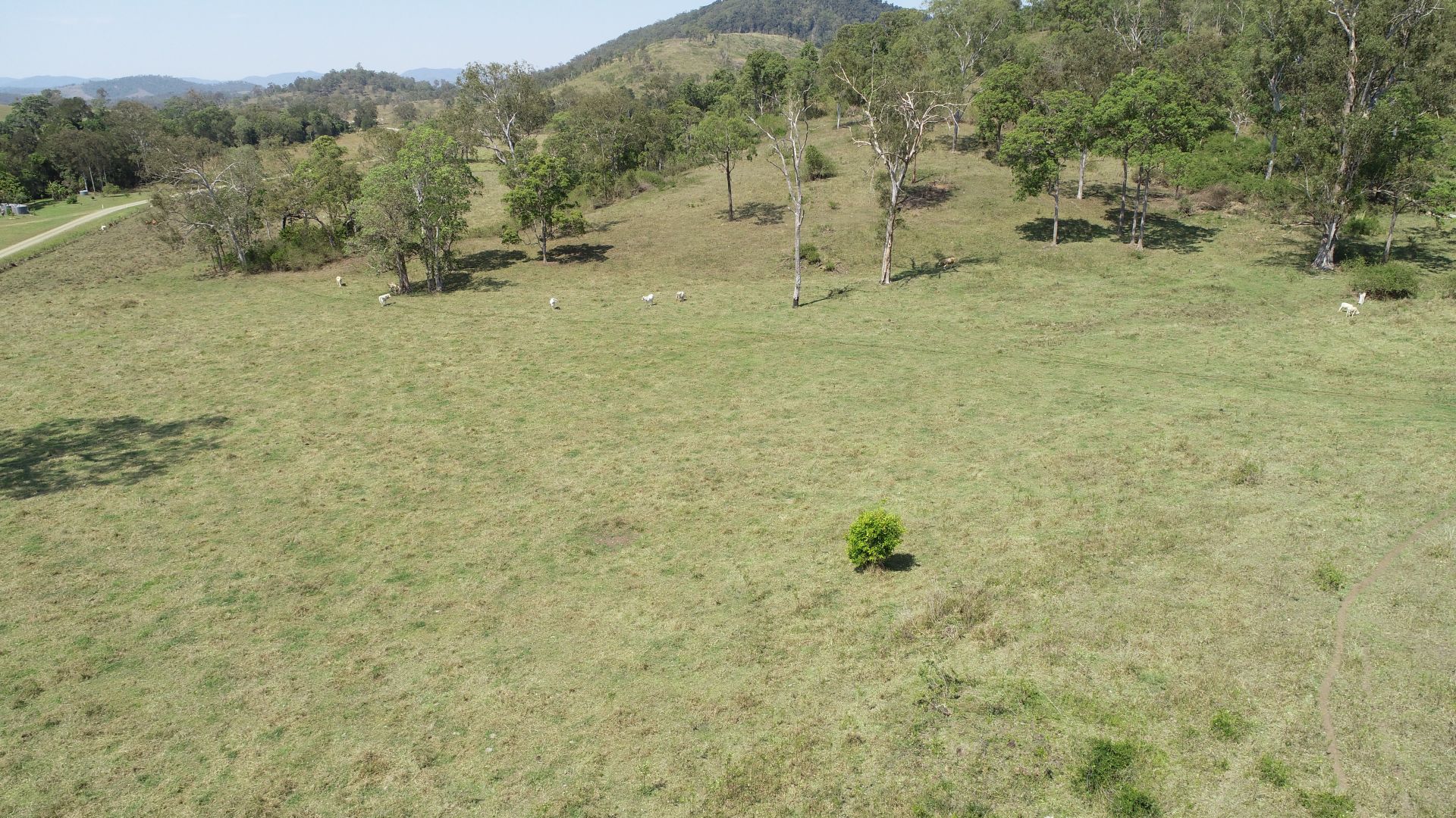 209 Mohrs Road, Sarina Range QLD 4737, Image 1