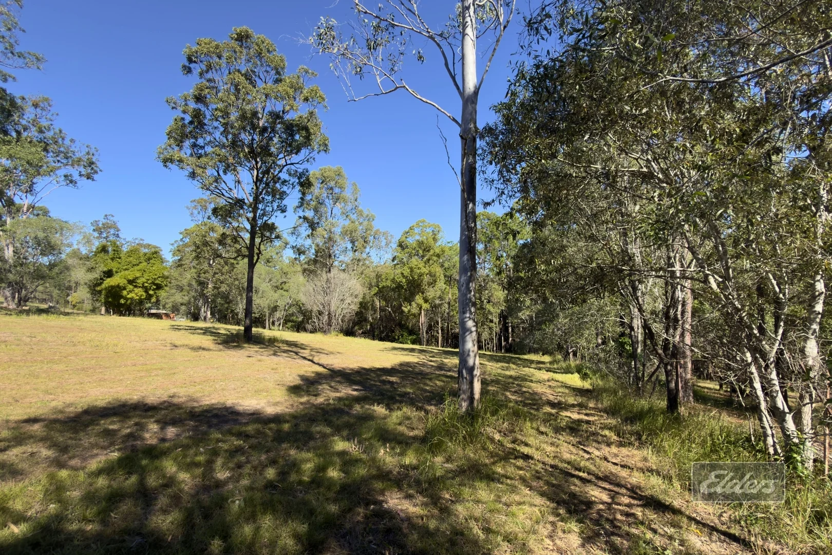 Image 13