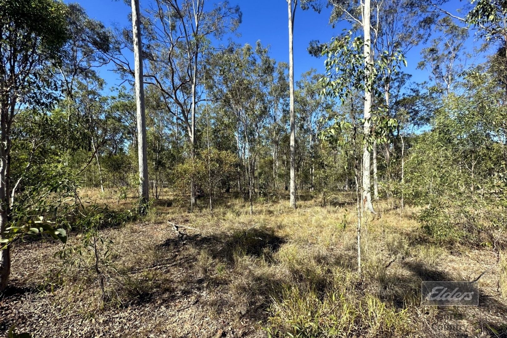 Lot 2 Lynne Drive, Curra QLD 4570 Vacant Land for Sale Domain
