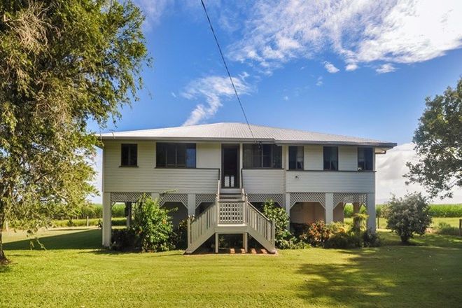 Picture of 116 Kirkwoods Road, BLACKROCK QLD 4850