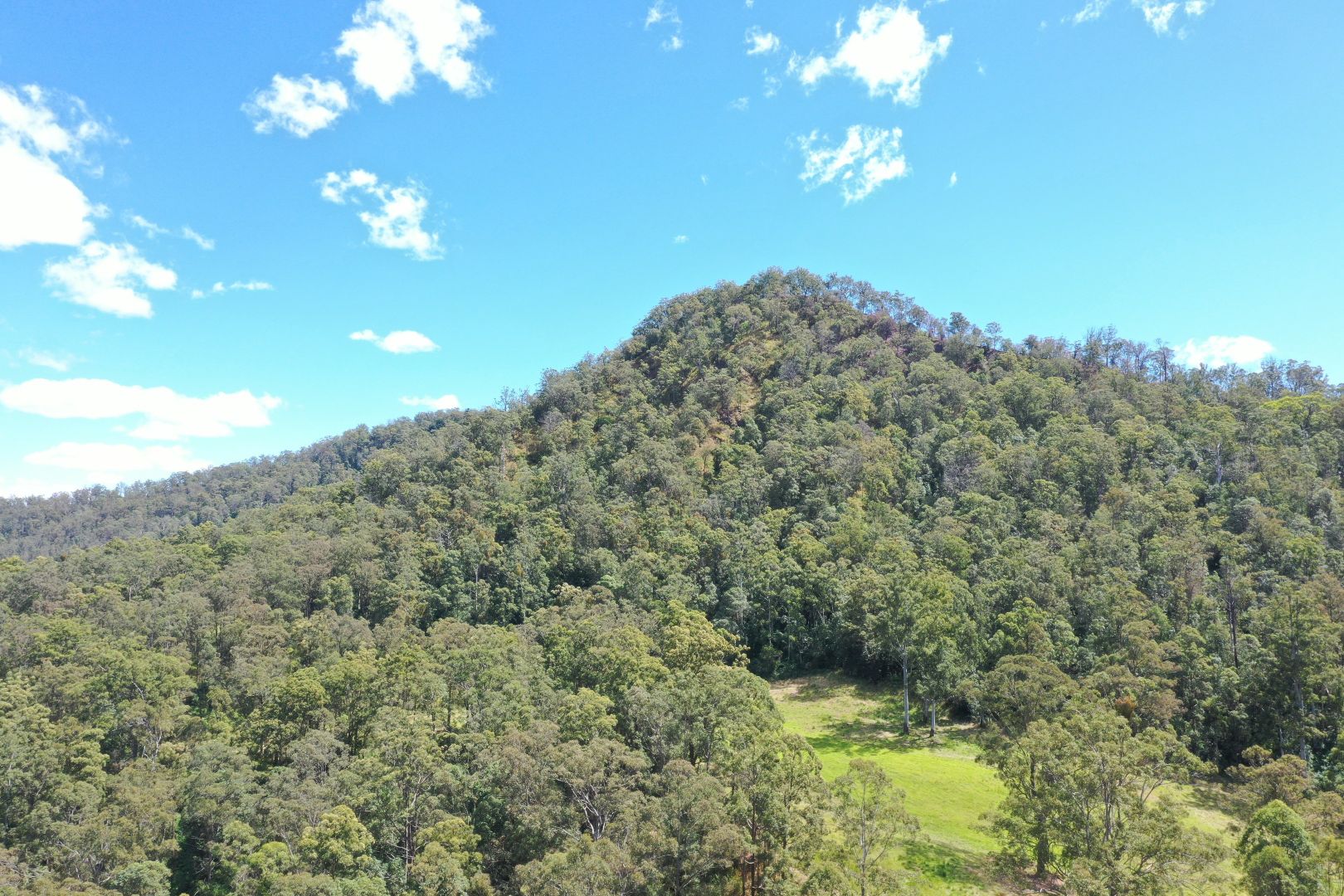 10 Forrest Road Lynches Creek, Kyogle NSW 2474, Image 2