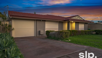 Picture of 43 Grampians Heights, MIRRABOOKA WA 6061