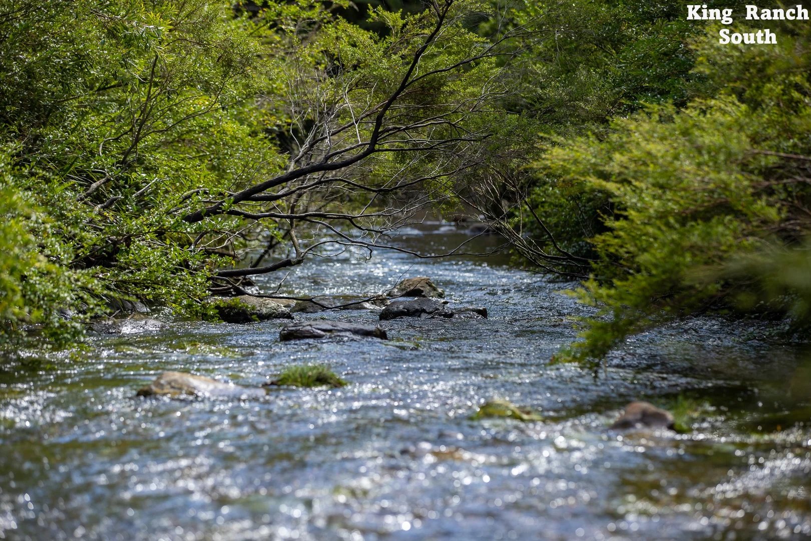 Image 34