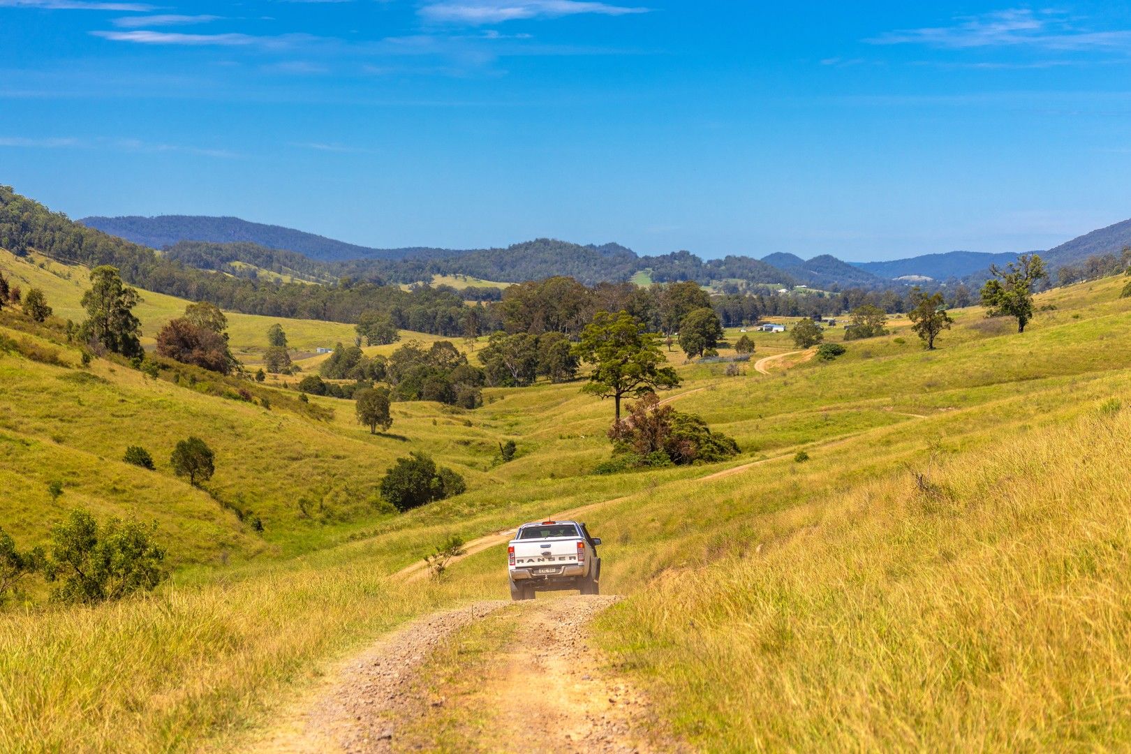 1 Andersons Creek Road, Wards River NSW 2422 Farm for Sale Domain