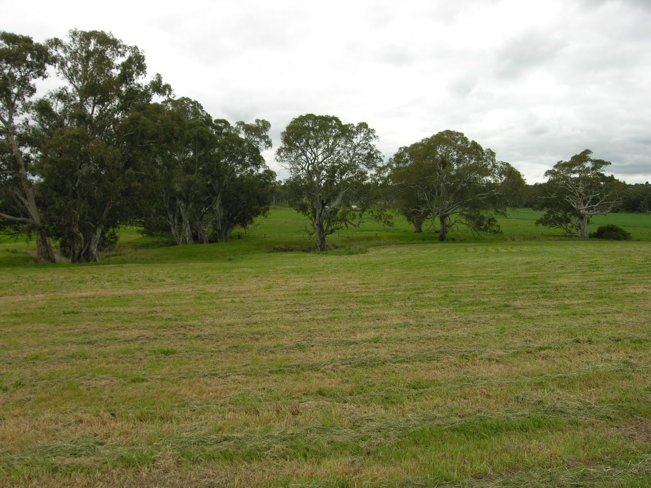 Lot 14 Middleton Road, Cockatoo Valley SA 5351, Image 0