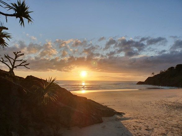 Picture of 32 Grass Tree Circuit, CABARITA BEACH NSW 2488