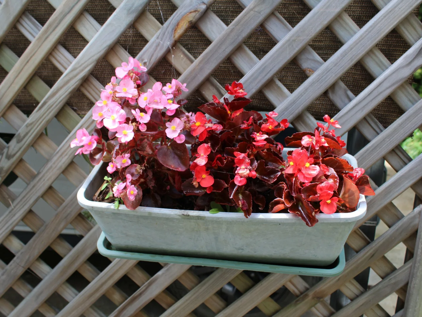 Image 37