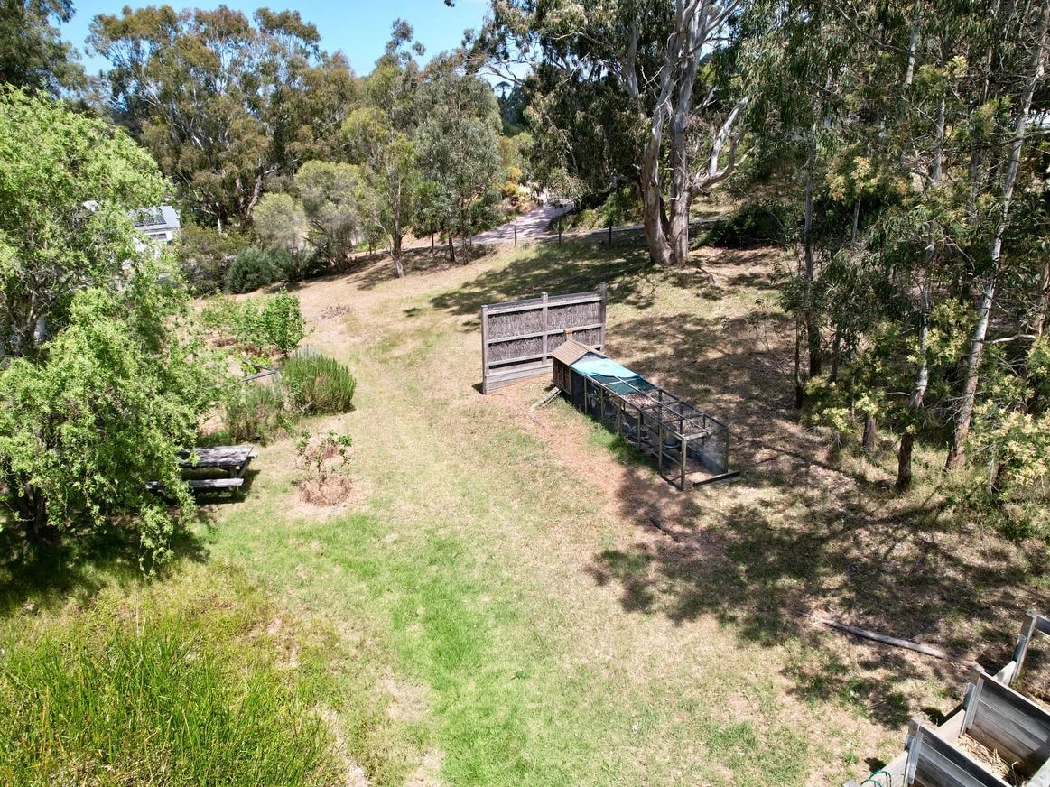Image 14