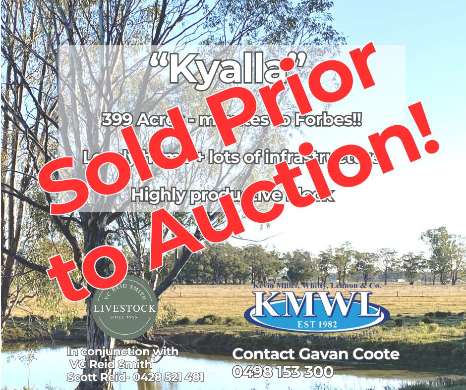 "Kyalla" 156 Forest Road, Forbes NSW 2871, Image 0