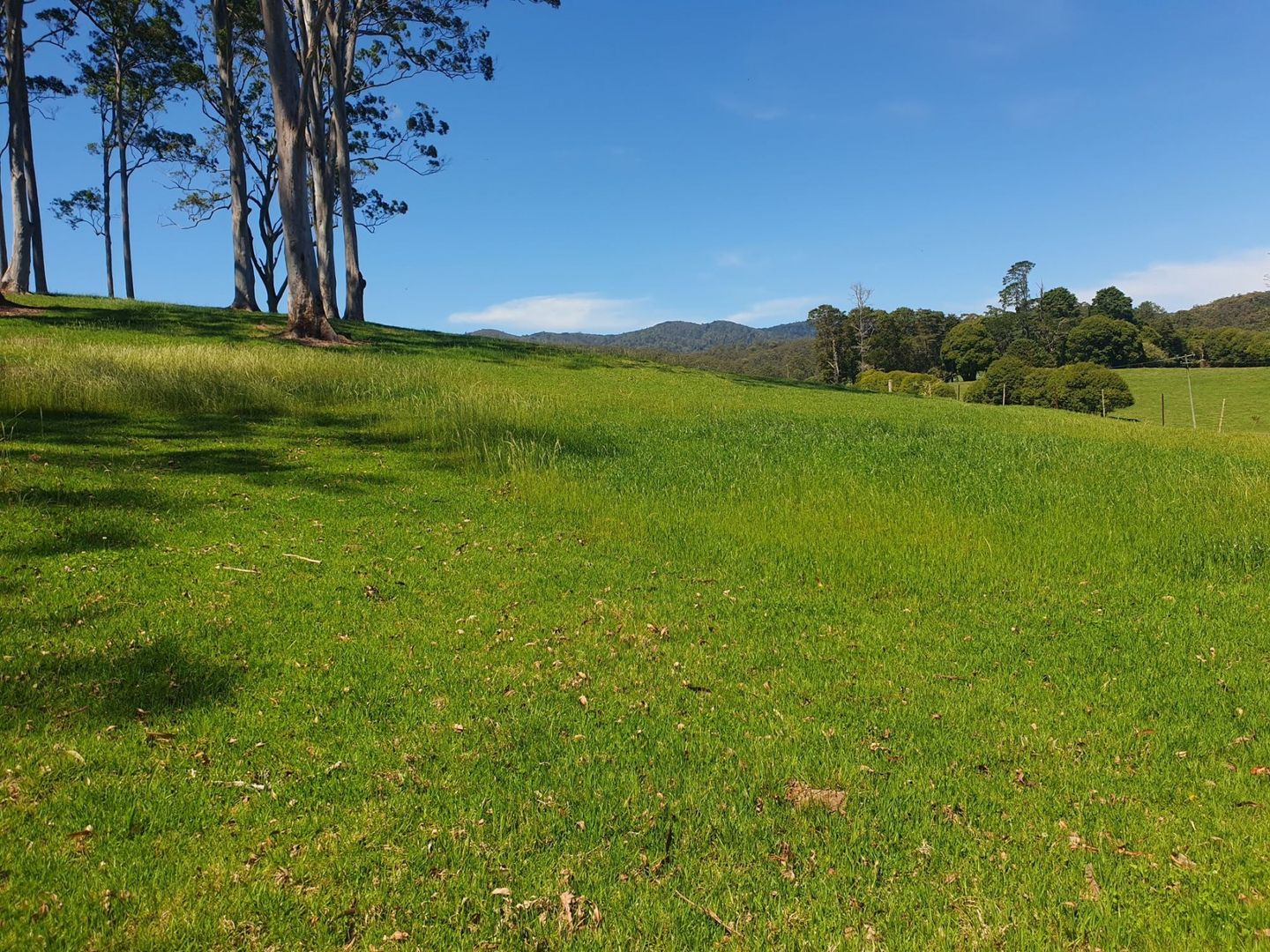 2597 Eastern Dorrigo Way, Brooklana, Coffs Harbour NSW 2450, Image 1