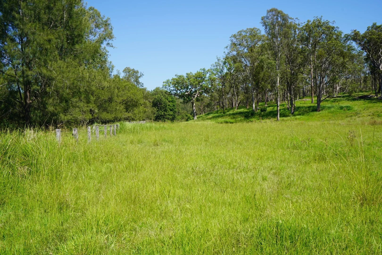 Additional image 5 of 113 Bruxner Highway, Casino NSW 2470