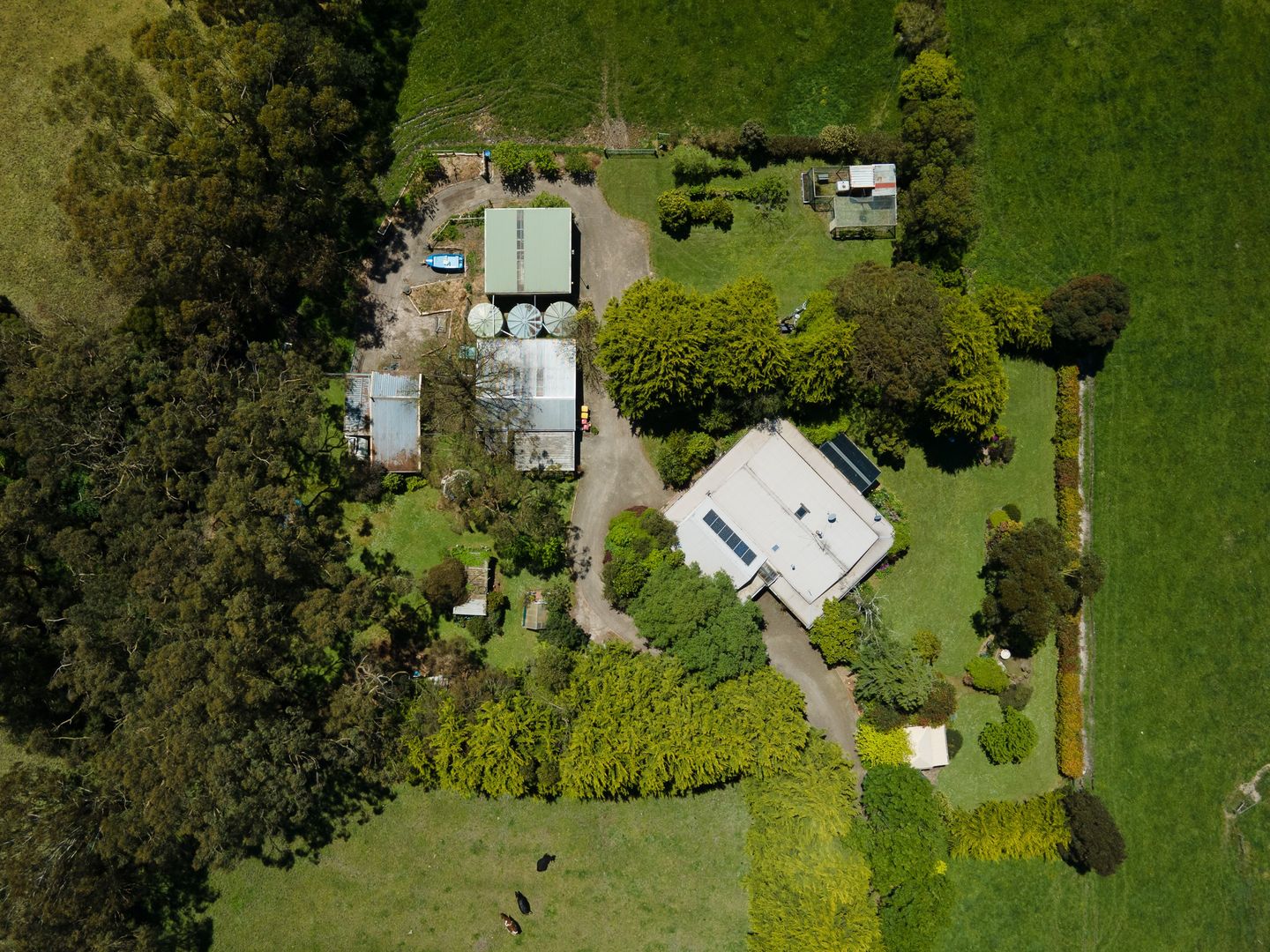 90 Old Fish Creek-Yanakie Rd, Fish Creek VIC 3959, Image 1