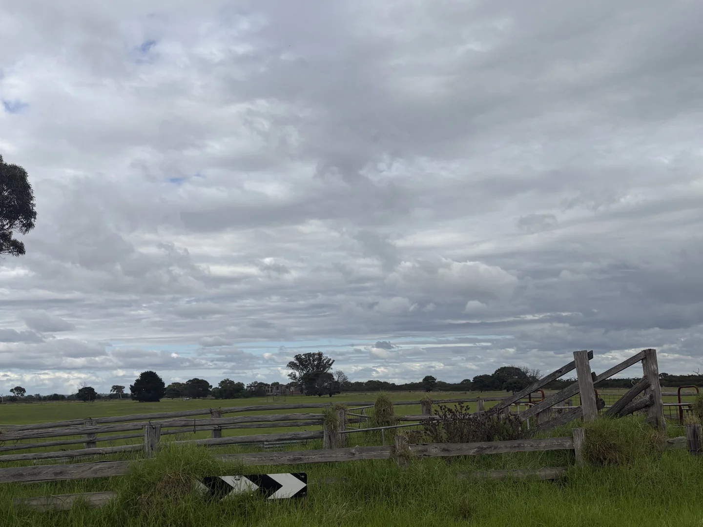 Image 21