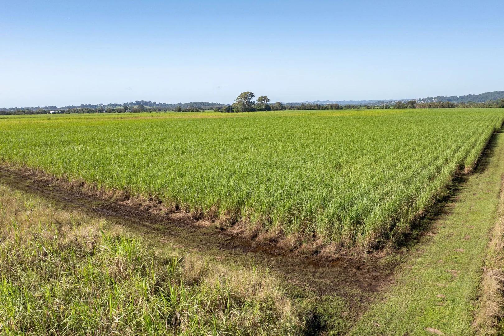 Additional image 5 of 136 River Road, Maroochy River QLD 4561