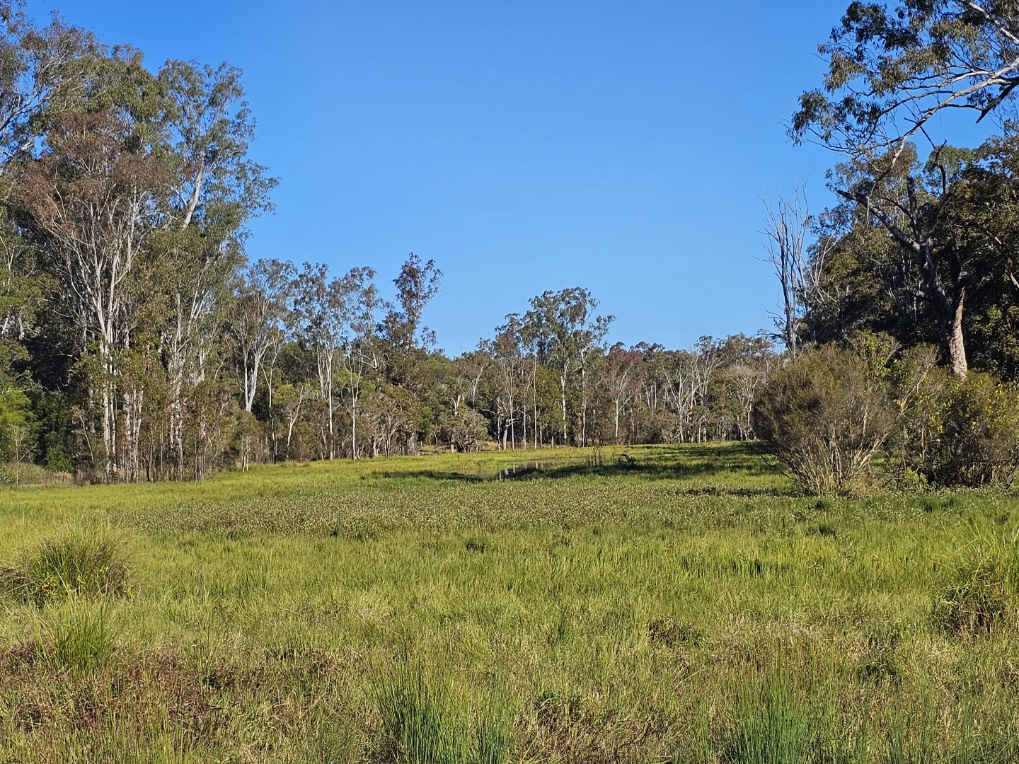 Image 15