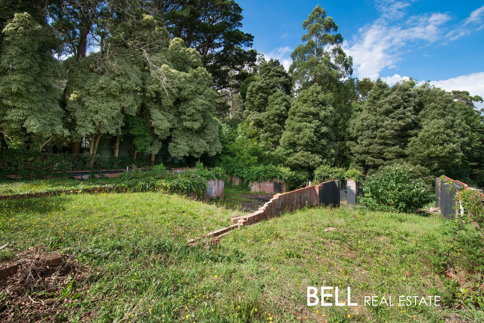 Additional image 10 of 388 Mount Dandenong Tourist Road, Sassafras VIC 3787