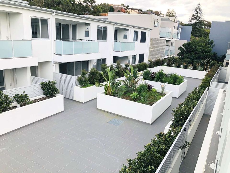 259 CONDAMINE STREET, Manly Vale NSW 2093 Apartment For Rent 900