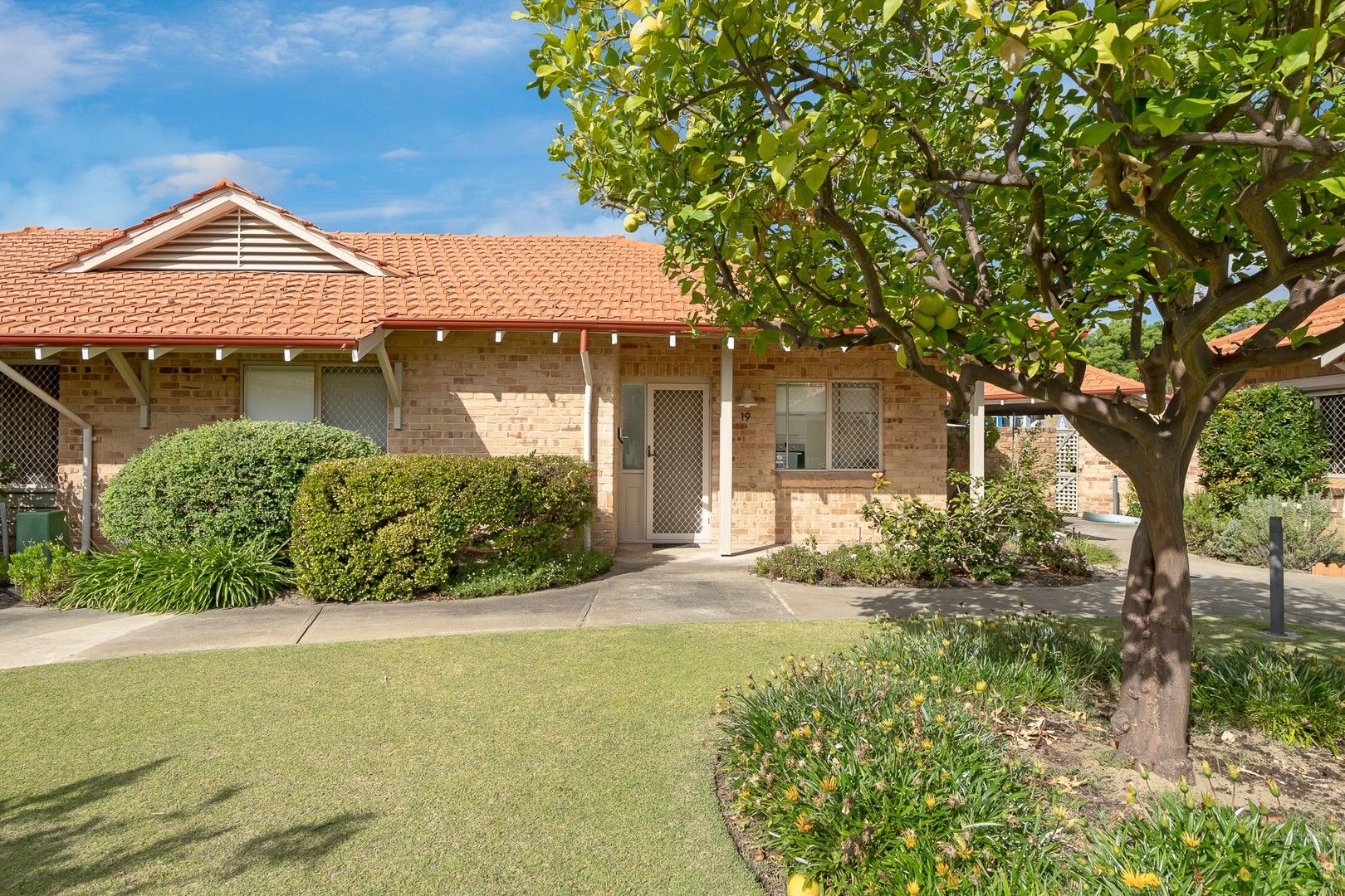 19/37 Britannia Road, Leederville WA 6007 Domain