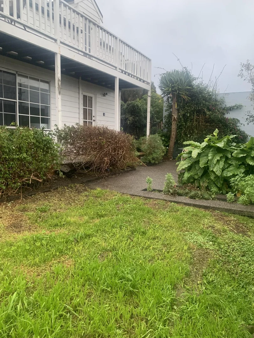 Image 16