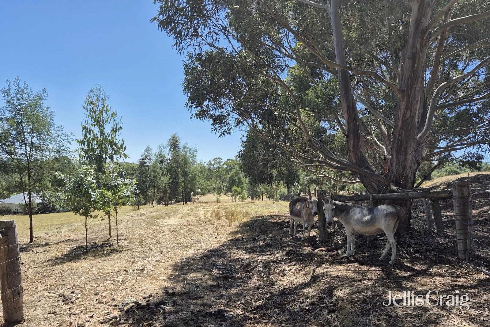 Additional image 7 of Lot 1/4 Blackberry Lane West, Buninyong VIC 3357