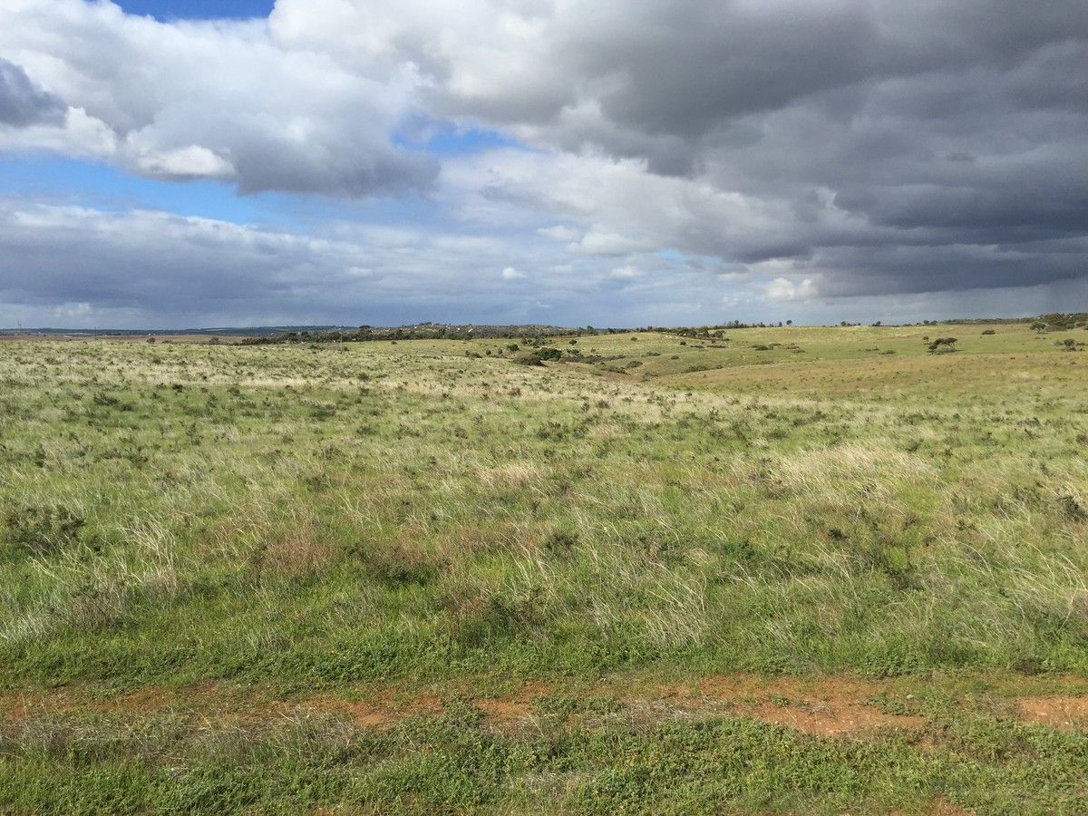 Lot 599 Caloote Road, Caloote SA 5254, Image 2