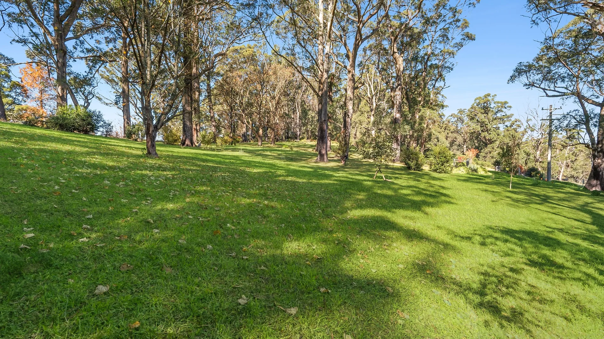 Image 13