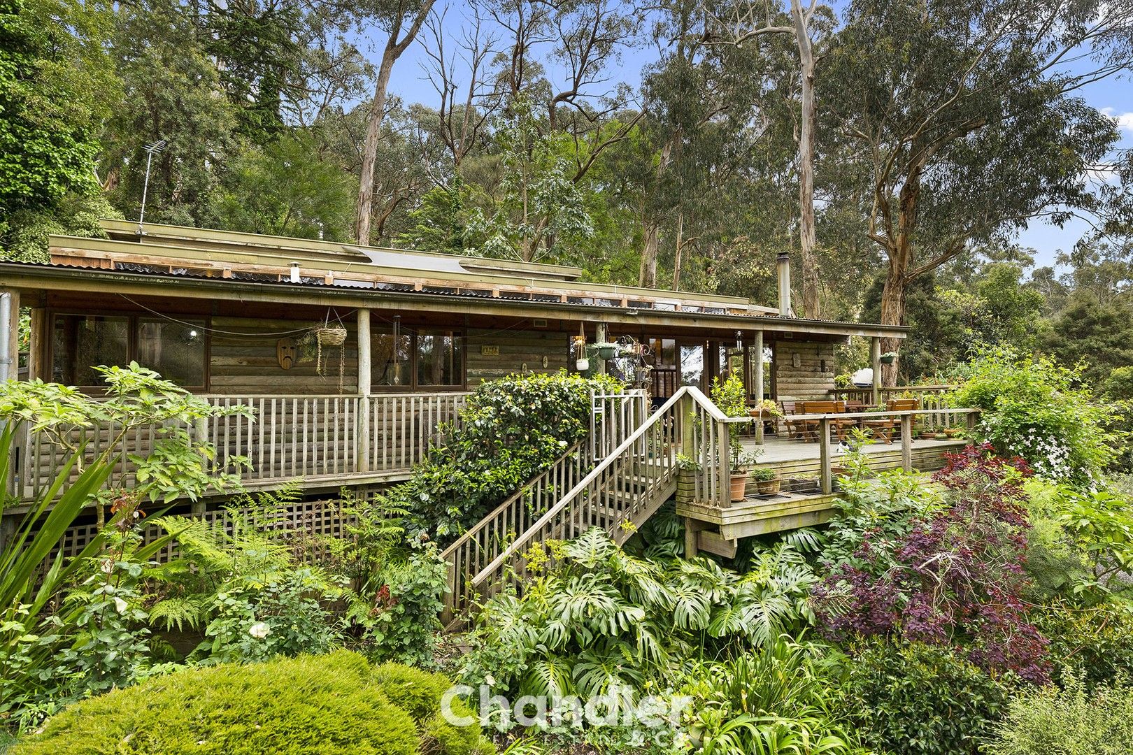 56 Hazelvale Road, Tecoma VIC 3160, Image 0