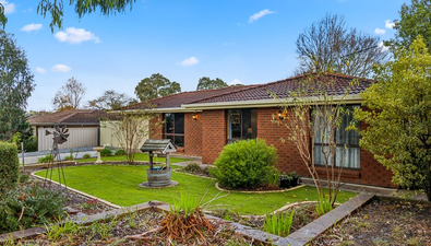 Picture of 81 Hurling Drive, MOUNT BARKER SA 5251