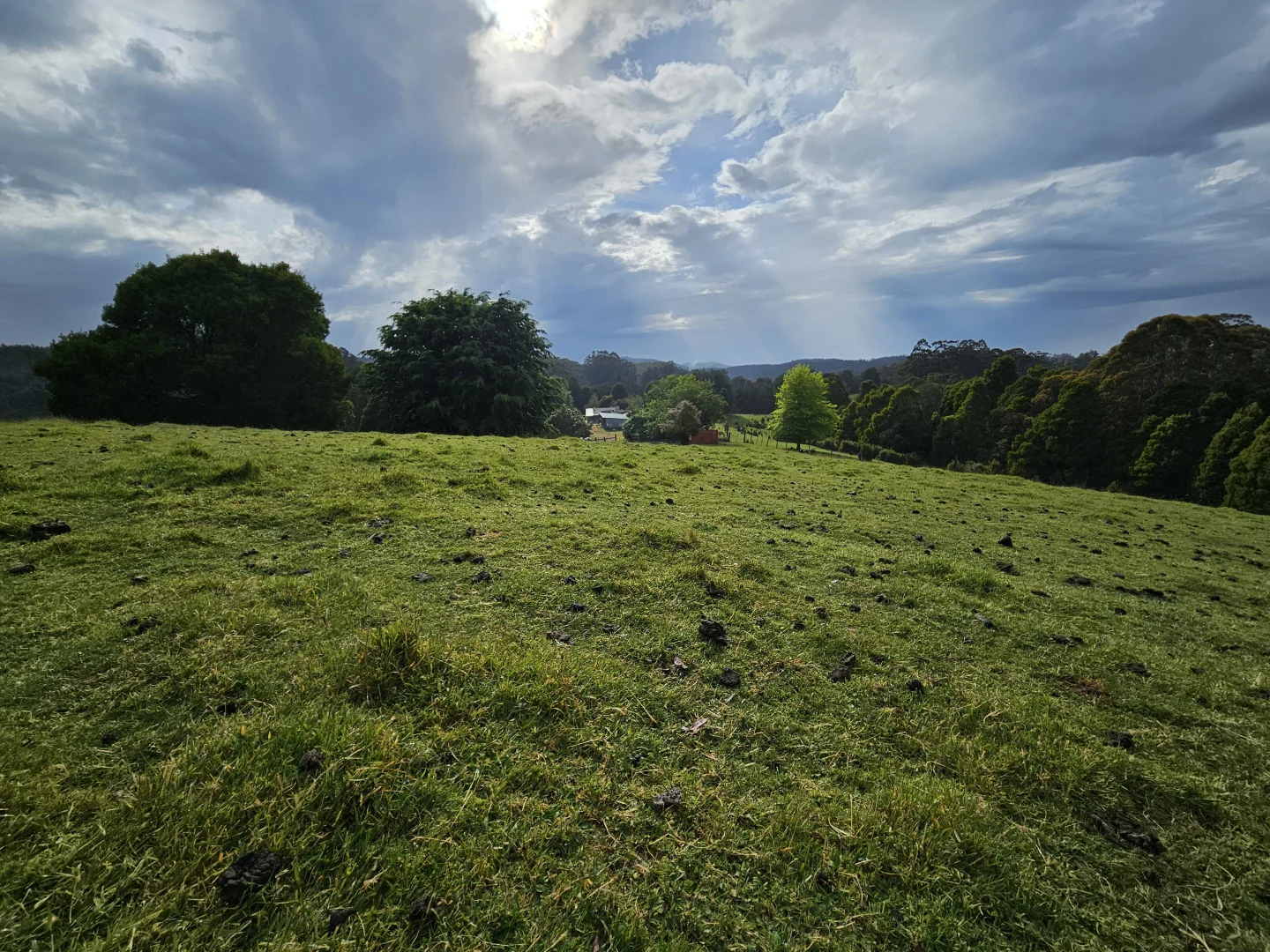 Image 22