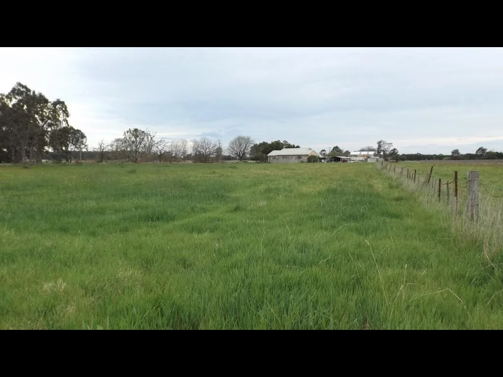 Image 10