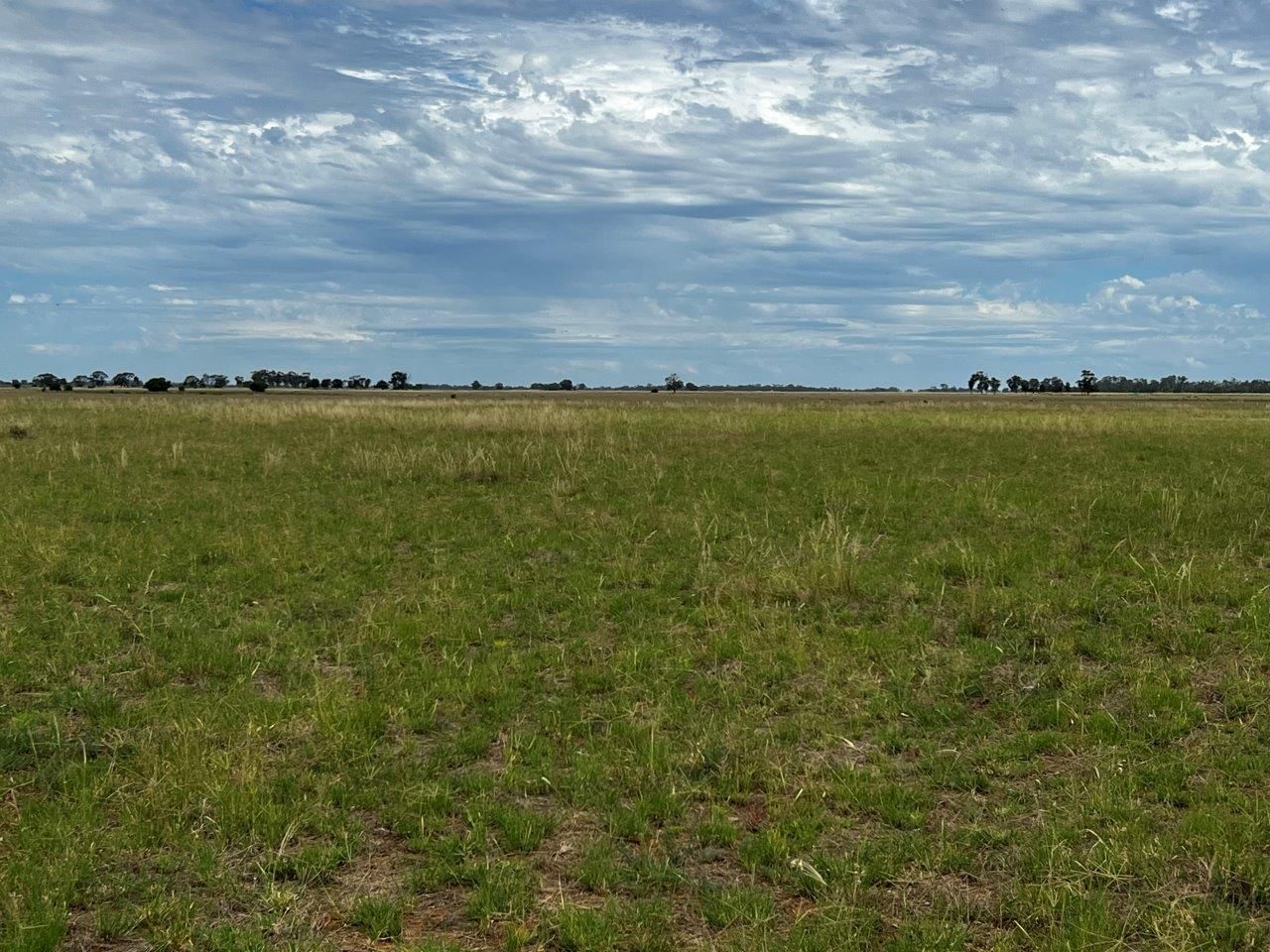 Lot 1 & 2 Mount Terricks Road (Roslynmead) Road, Echuca VIC 3564, Image 1