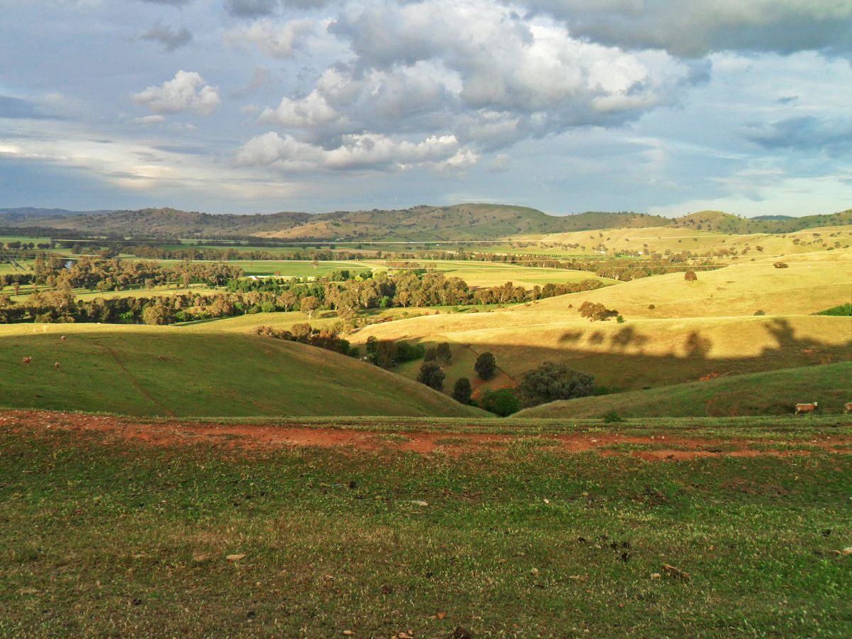 Lot 13 Fry Street, Gundagai NSW 2722, Image 1