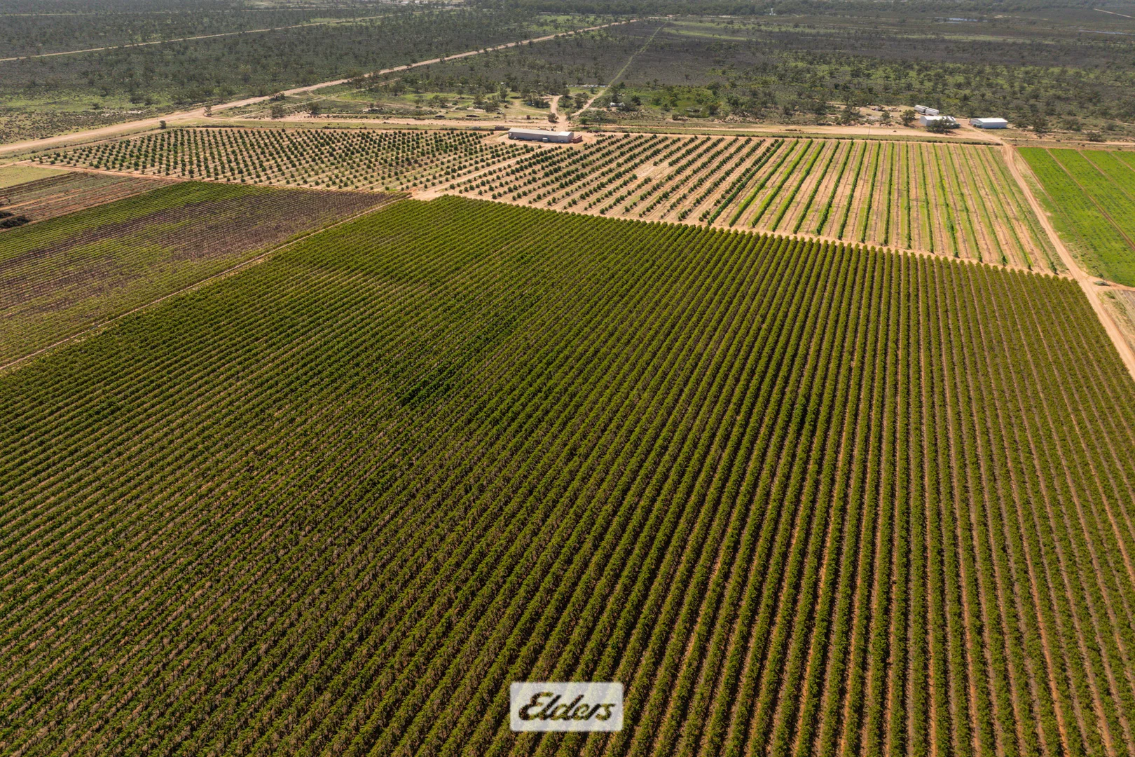 Additional image 39 of 135 Red Hill Road, Pomona NSW 2648