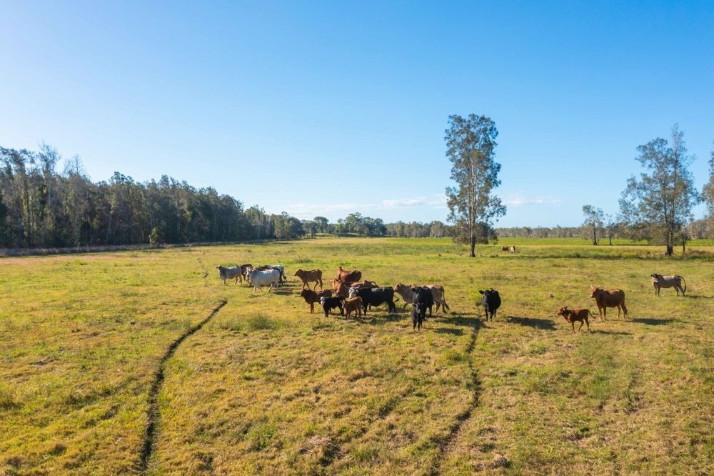 LOT 1 SEALE ROAD, Verges Creek NSW 2440, Image 0