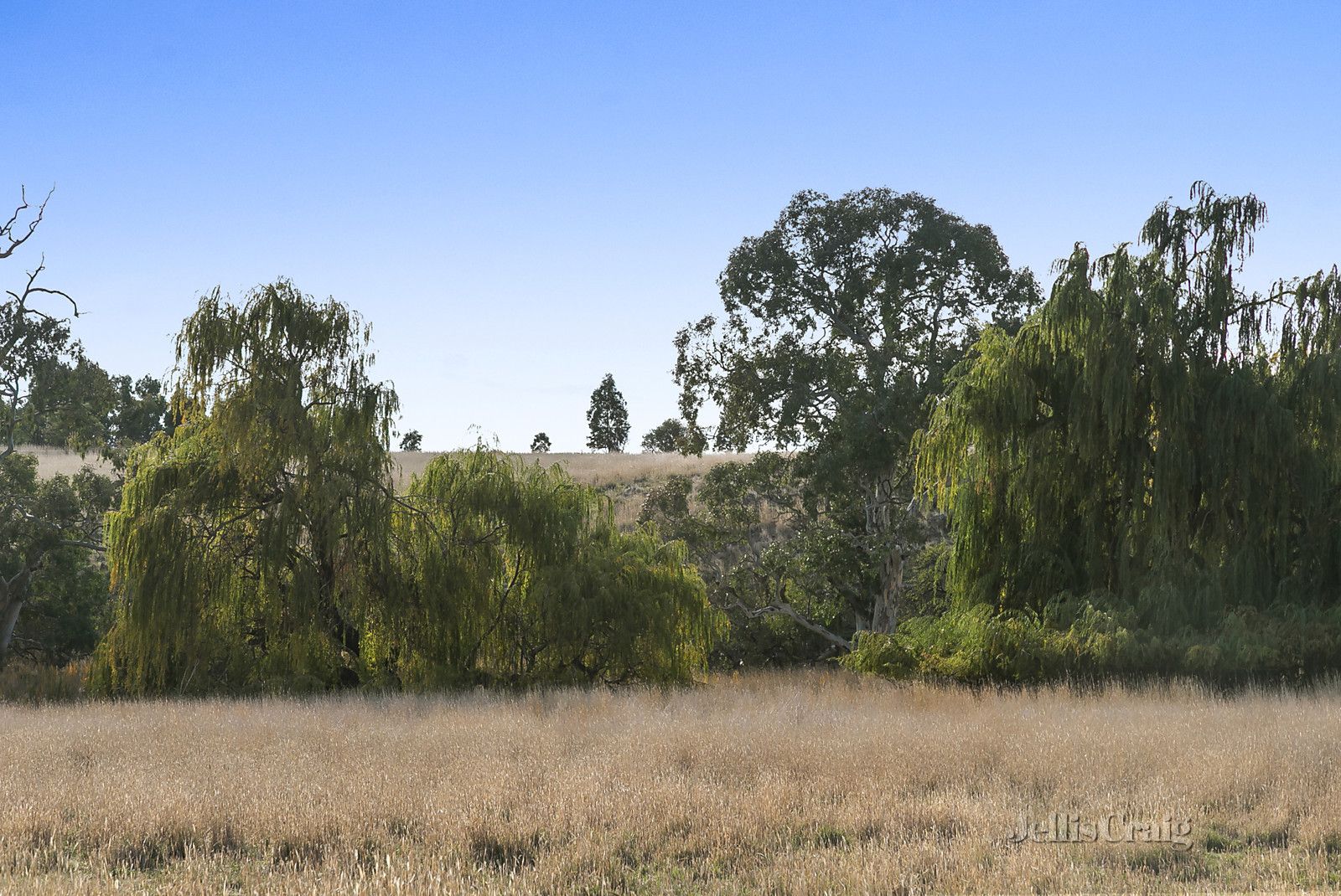 136 Mount Lofty Road, Redesdale VIC 3444, Image 0