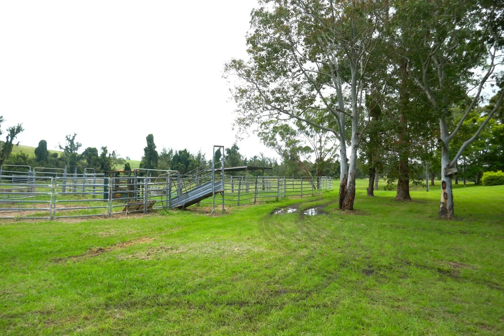 Image 17
