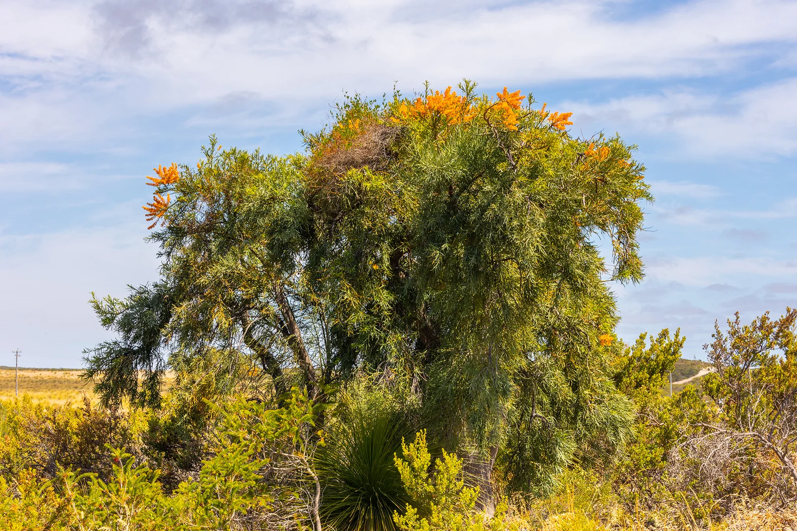 Additional image 4 of Lot 304 PINDARI PLACE, Karakin WA 6044