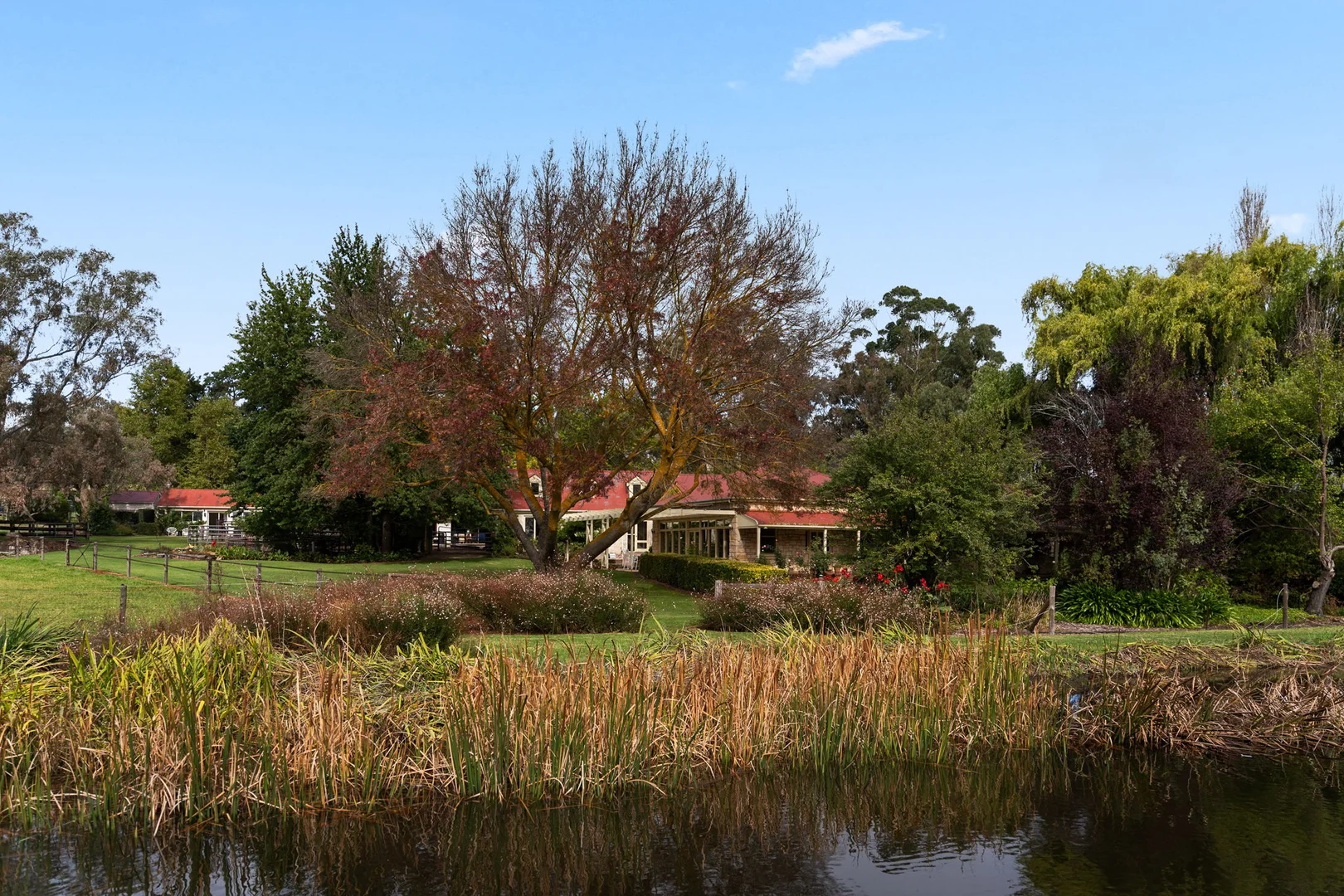 Image 22