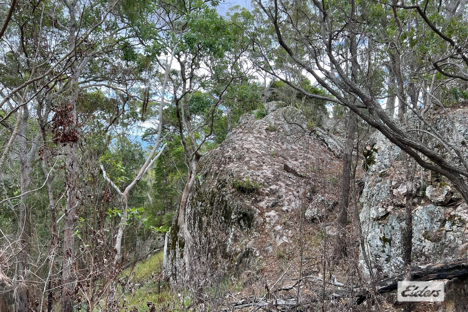 Image 13
