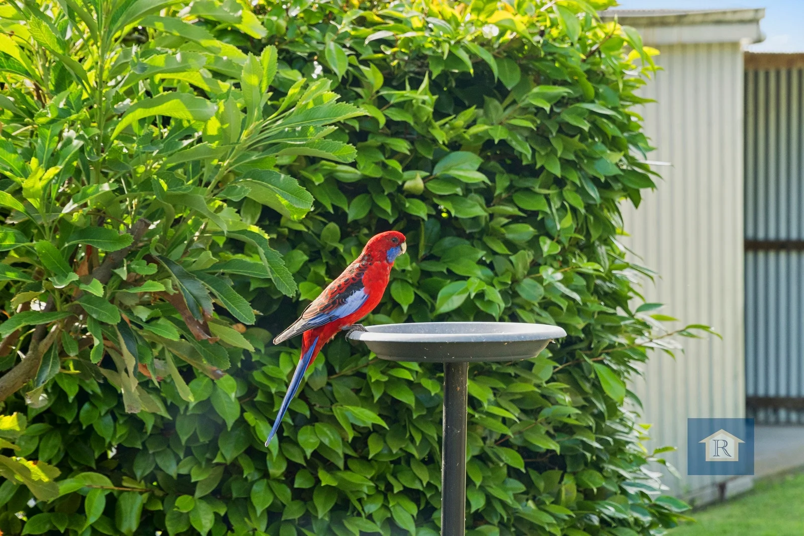 Additional image 29 of 215 Shorts Road, Elliminyt VIC 3250