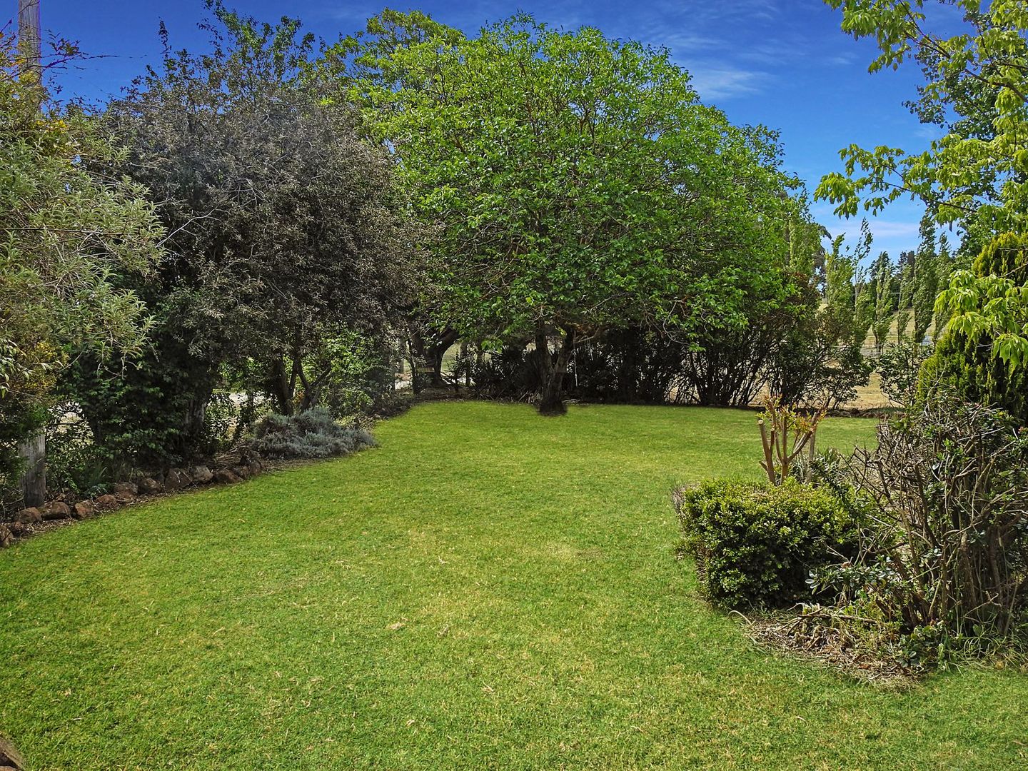 269 Forest Reefs Road, Millthorpe NSW 2798, Image 1