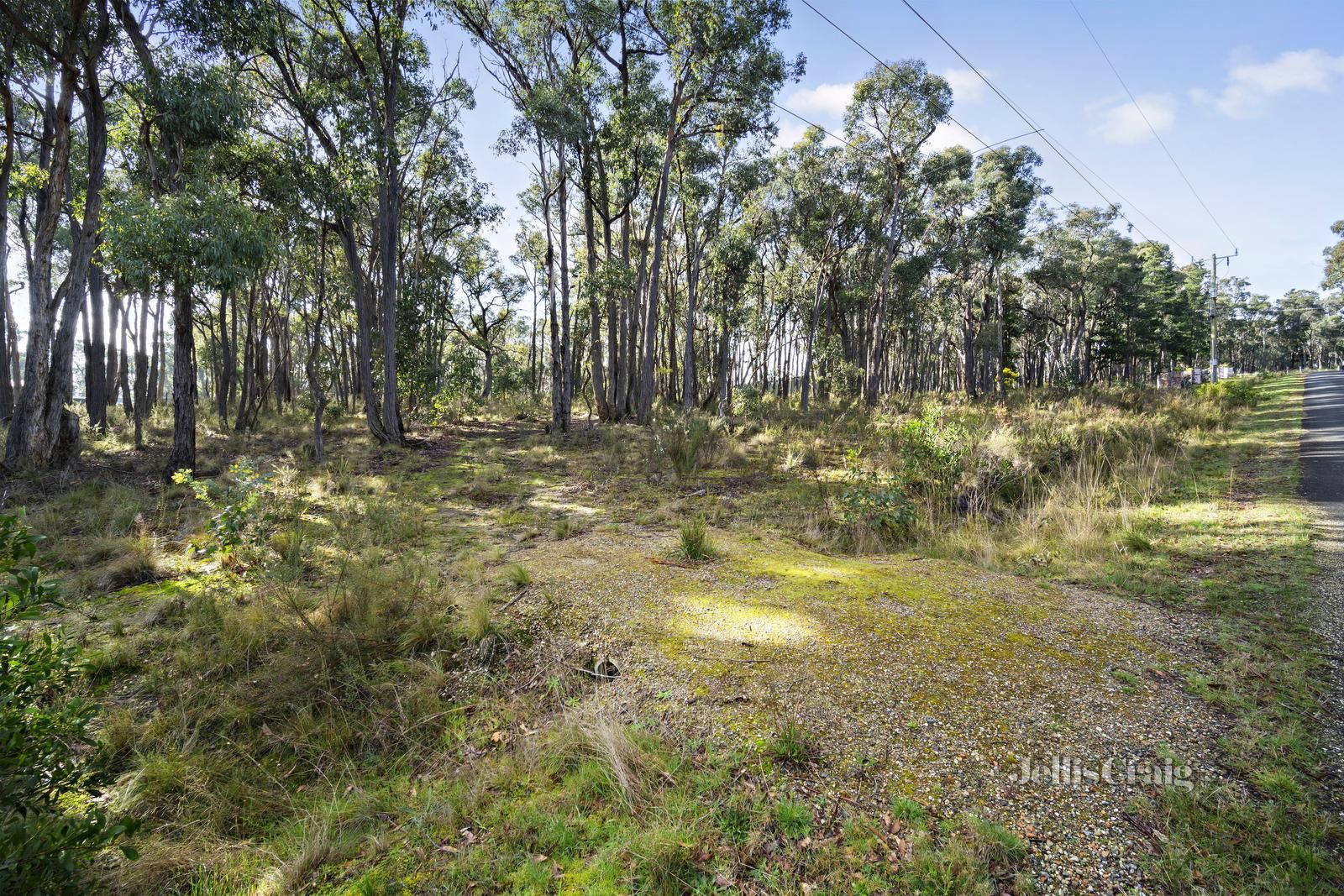 Lot 35 Tilligs Road, Scarsdale VIC 3351, Image 2