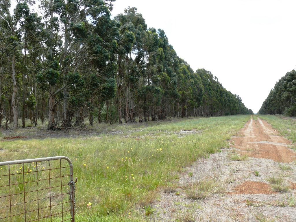 Lot 657 South Coast Highway, Dalyup WA 6450, Image 0