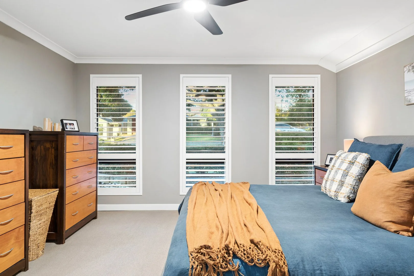 Image 20
