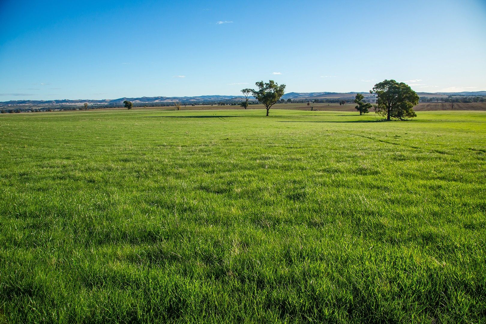 1900 Nangus Road, Nangus NSW 2722, Image 0