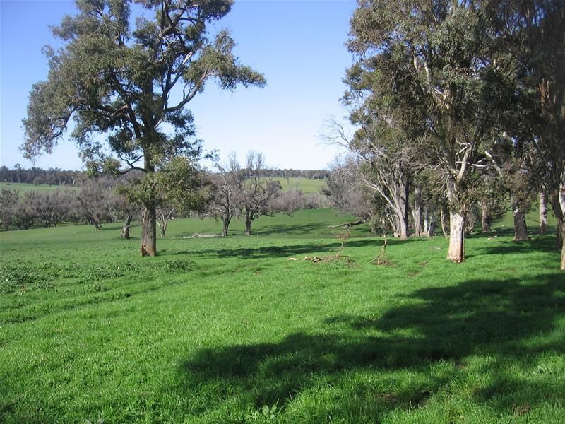 Lot 8460 Nelson Location 8460, Boyup Brook WA 6244, Image 2