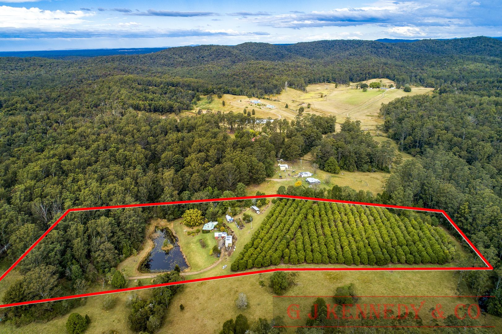 392 Maras Creek Rd, Utungun NSW 2447, Image 2