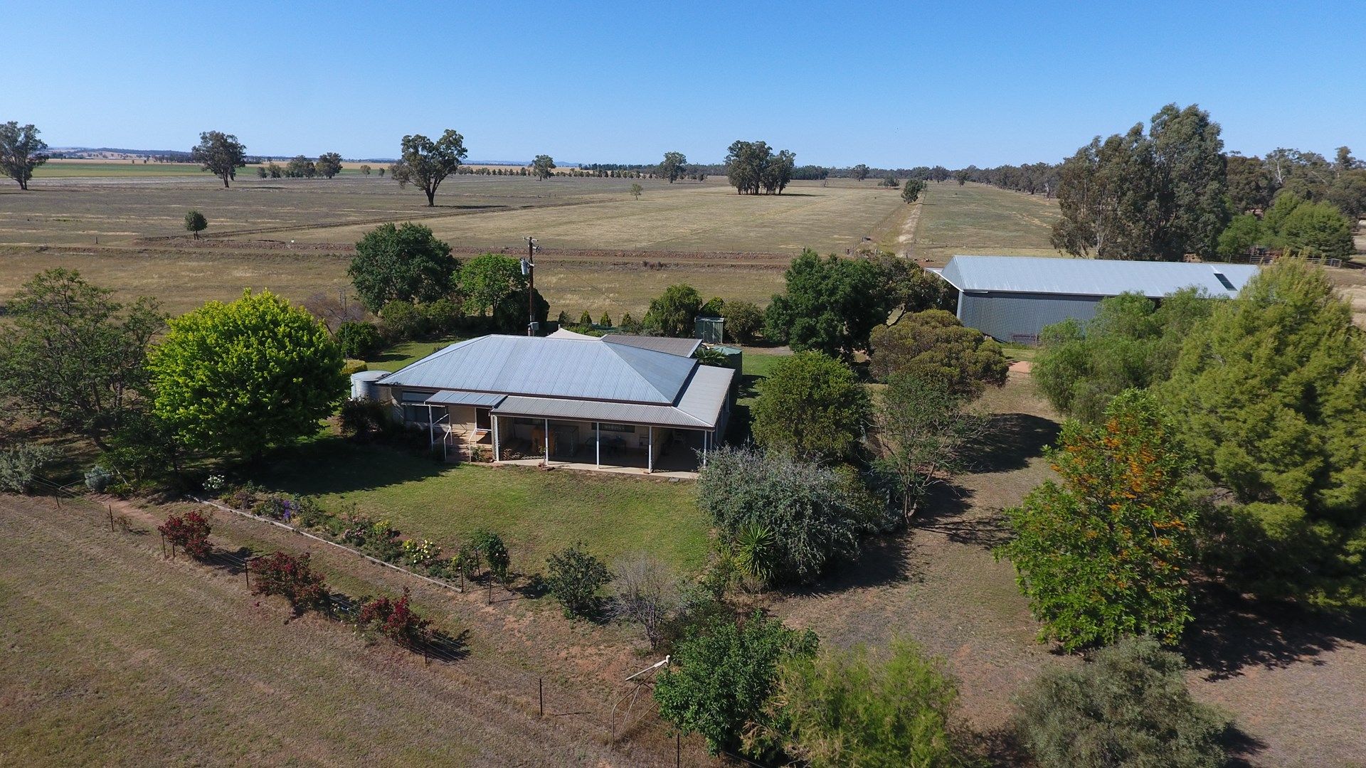 348 "Rodwell" New Grenfell Road, Forbes NSW 2871, Image 0