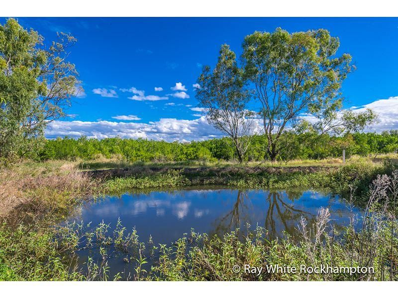 89 Emu Park Road, NERIMBERA QLD 4701, Image 1