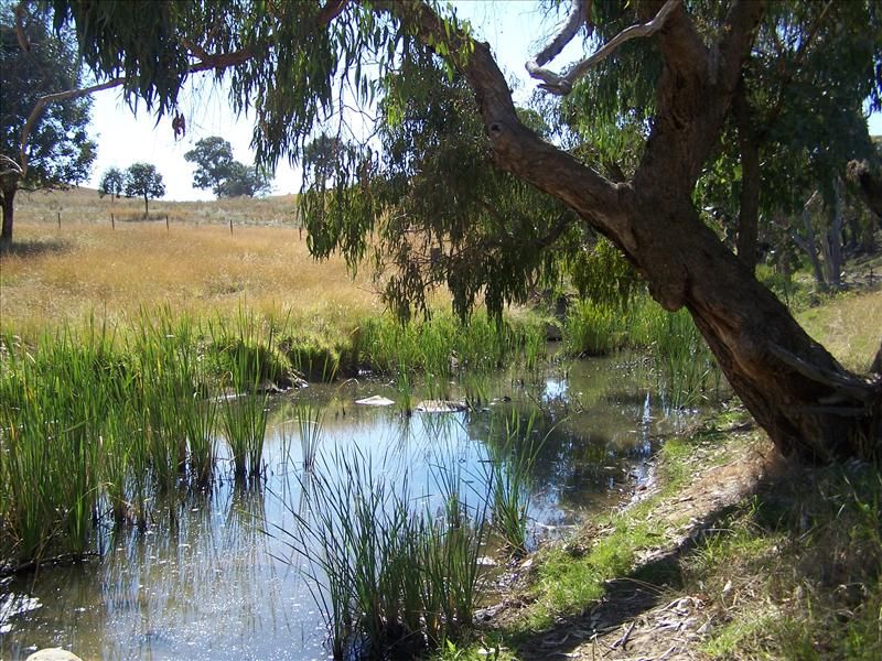 Bookham NSW 2582, Image 1